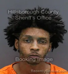 Mugshot of JASHAWN MIZELL DARNES
