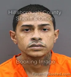 Mugshot of JAVIER AURELIO NIEVES OGANDO