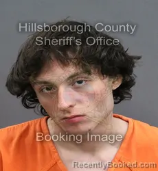 Mugshot of ETHAN EVERS DANNEBERG