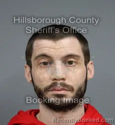 Mugshot of DAVID JOSEPH DITTFELD