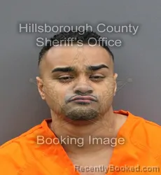 Mugshot of CASEY FERNANDEZ