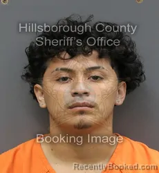 Mugshot of ERSON FERNANDO MEJIA MEJIA
