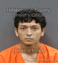 Mugshot of ANGEL DAVID PADILLA ANDINO