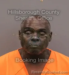 Mugshot of ARTHUR BILLINGSLEY booked in Hillsborough County, Florida on March 10, 2026