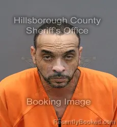 Mugshot of RAYMOND DEVENO JOHNSON booked in Hillsborough County, Florida on March 10, 2026