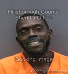 Mugshot of JAMES LEE booked in Hillsborough County, Florida on March 10, 2026