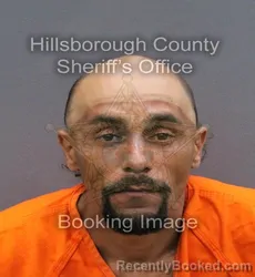 Mugshot of LOUIS ANTHONY CAMARDA booked in Hillsborough County, Florida on March 10, 2026