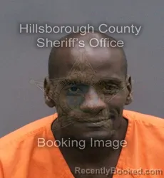 Mugshot of MICHAEL LAMONT SANKS booked in Hillsborough County, Florida on March 10, 2026