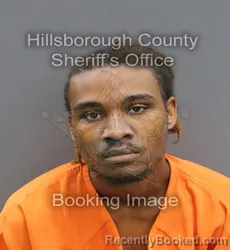 Mugshot of MEKHI NASEEM AL HARPER MASON booked in Hillsborough County, Florida on March 10, 2026