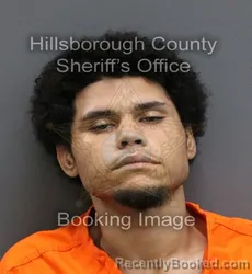 Mugshot of CHRISTIAN ARTHUR DANIEL booked in Hillsborough County, Florida on March 10, 2026