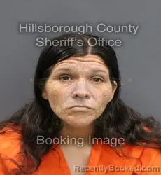 Mugshot of MICHELLE LEE ROJAS booked in Hillsborough County, Florida on March 10, 2026