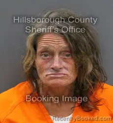 Mugshot of LEE ANNA MCGLAMORY booked in Hillsborough County, Florida on March 10, 2026