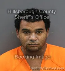 Mugshot of JOSE GREGORIO LOPEZ BRETT booked in Hillsborough County, Florida on March 10, 2026