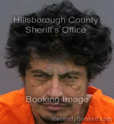 Mugshot of FREDY ROSALES booked in Hillsborough County, Florida on March 10, 2026