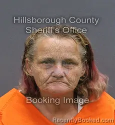 Mugshot of TAMMY FAYE RAMOS booked in Hillsborough County, Florida on March 10, 2026