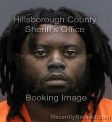 Mugshot of KEVON RASHAAD MINGO booked in Hillsborough County, Florida on March 10, 2026