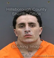 Mugshot of LUIGI ANDRE CAVANI booked in Hillsborough County, Florida on March 10, 2026