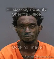 Mugshot of LAZARO HERNANDEZ booked in Hillsborough County, Florida on March 10, 2026