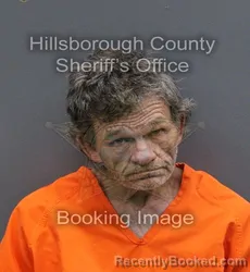 Mugshot of RODNEY DAVID DWAYNE DAVIS booked in Hillsborough County, Florida on March 10, 2026