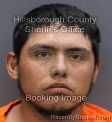 Mugshot of ALFONSO GALLARDO ALCAZAR booked in Hillsborough County, Florida on March 10, 2026