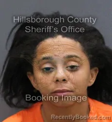 Mugshot of STEPHANIE MARIE LYONS GORDILS booked in Hillsborough County, Florida on March 10, 2026