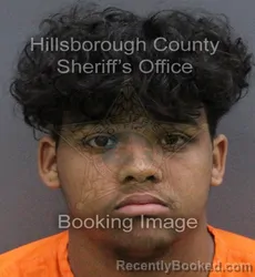 Mugshot of ELIAJAH JOSE MARTINEZ booked in Hillsborough County, Florida on March 10, 2026