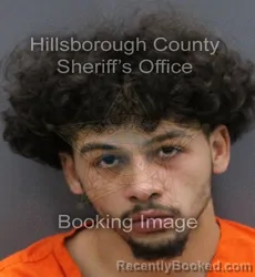 Mugshot of BENJOMAR FONTANEZ booked in Hillsborough County, Florida on March 10, 2026