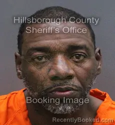 Mugshot of DANILO CAMINERO DE LOS SANT booked in Hillsborough County, Florida on March 10, 2026