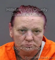 Mugshot of JAIME LYNN WALLACE booked in Hillsborough County, Florida on March 10, 2026