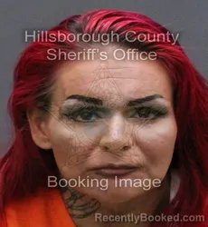Mugshot of HEATHER RENEE ALEXANDER booked in Hillsborough County, Florida on March 10, 2026