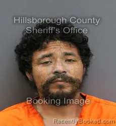 Mugshot of JUAN CARLOS NOLASCO booked in Hillsborough County, Florida on March 10, 2026