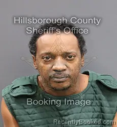 Mugshot of JAMES SIDNEY LLANOS booked in Hillsborough County, Florida on March 10, 2026