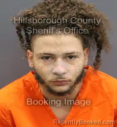 Mugshot of AXEL CANAAN CHERY booked in Hillsborough County, Florida on March 10, 2026