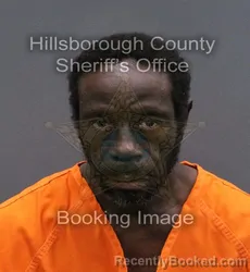 Mugshot of LOUIS WINDELL LAWSON booked in Hillsborough County, Florida on March 10, 2026