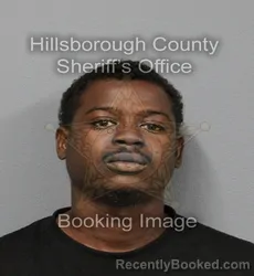 Mugshot of ALBERT WILLINGHAM booked in Hillsborough County, Florida on March 10, 2026