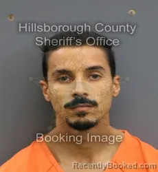 Mugshot of AYOUB ESSADIK