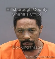 Mugshot of THEOIS RANDY THROW