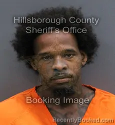 Mugshot of REGINALD EUGENE JR YOUNG