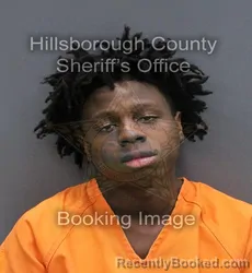 Mugshot of NORVIS JERMAINE JR HEFLIN
