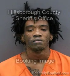 Mugshot of MARQUIS FERNANDO JR PEDROSO