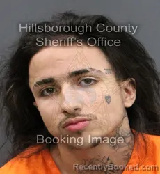 Mugshot of ANGEL GABRIEL PIZARRO COLON