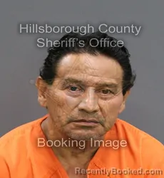 Mugshot of MOISES GALVEZ-TOMAS