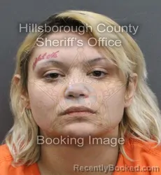 Mugshot of BRITTANY NICHOLE MILLER