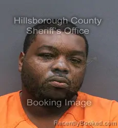 Mugshot of DETERREO K STEPHENS