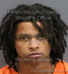 Mugshot of TARINO DESHAWN TROUPE