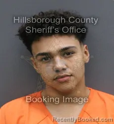 Mugshot of DAMON WILLIAM SANDERS