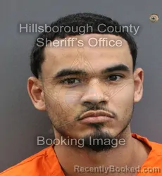 Mugshot of DEREK ALEXANDER BURGOS