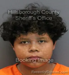 Mugshot of JEYSON SMIT PEREZ ZALDIVAR