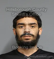 Mugshot of JOSE JULIAN MATOS GARCIA