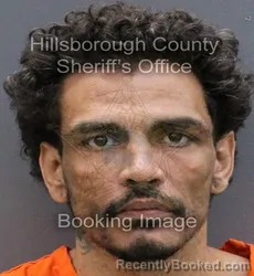 Mugshot of JUAN GABRIEL ROMAN MIRANDA
